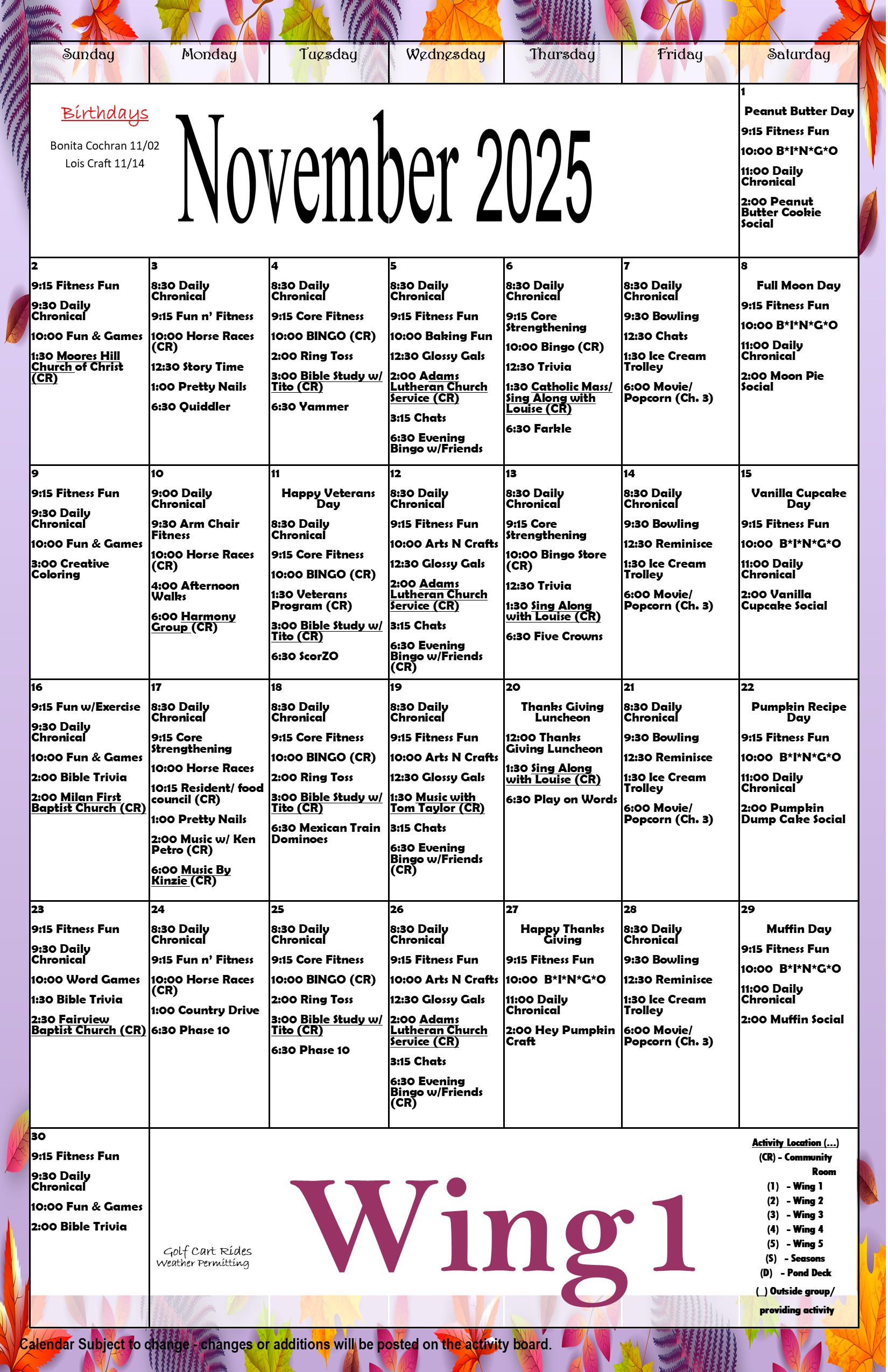 November wing 1 2025