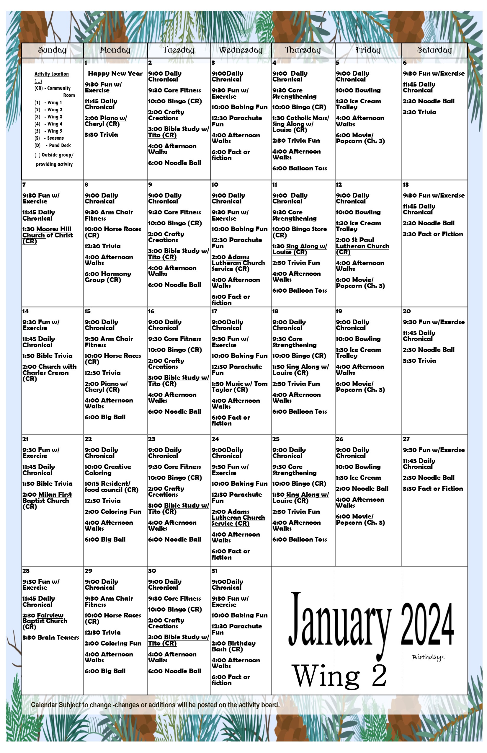 January_wing_2.jpg