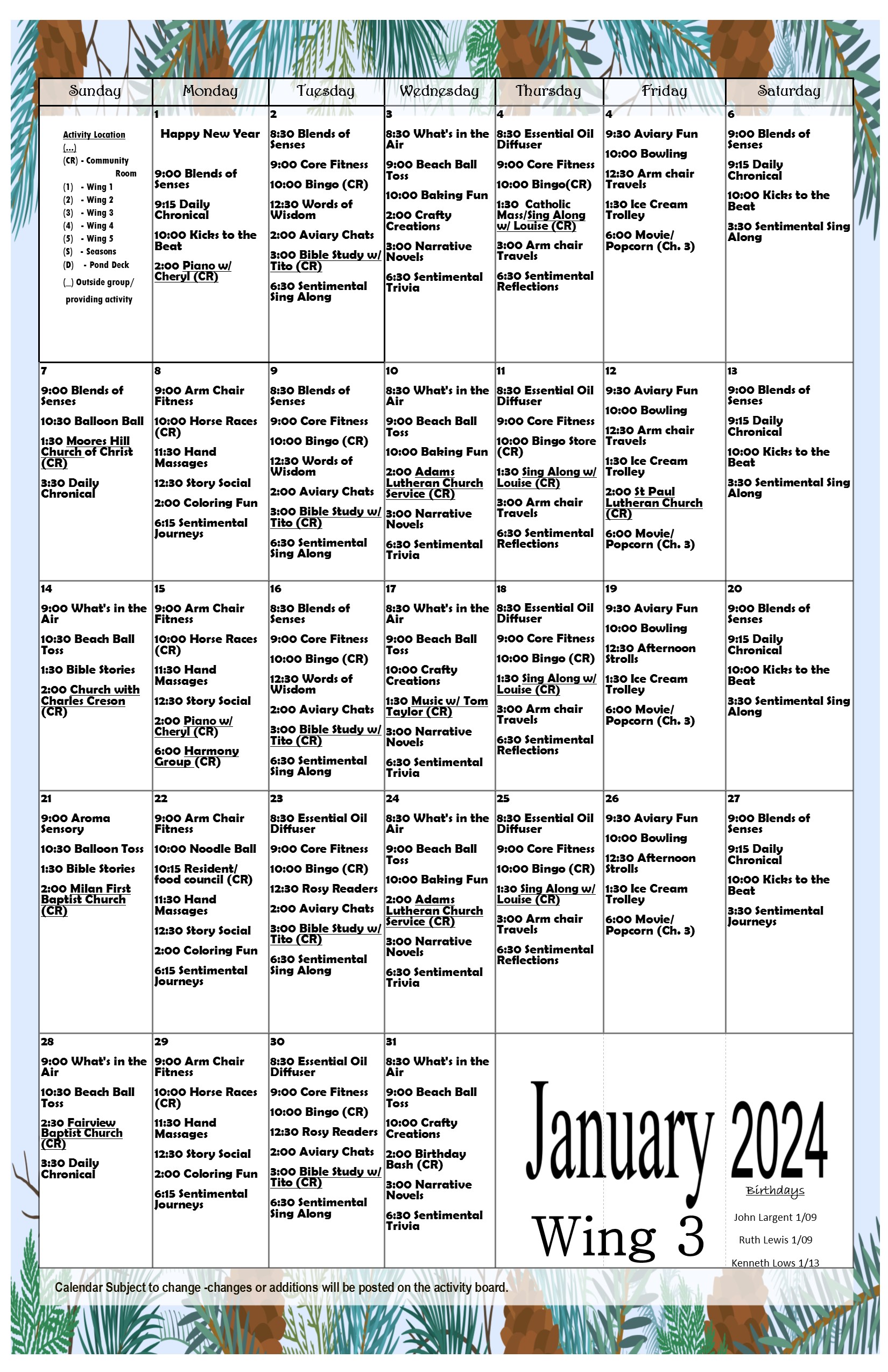 January_wing_3.jpg